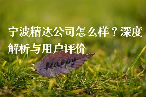 宁波精达公司怎么样？深度解析与用户评价_https://www.qmgjg.com_恒生指数期货_第1张