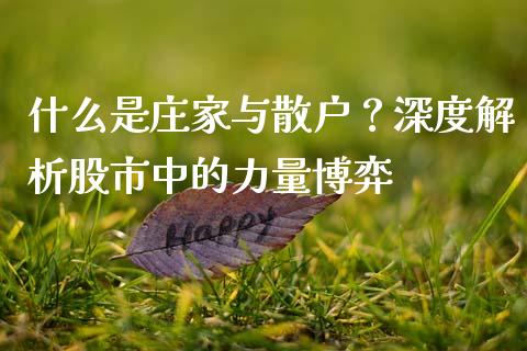 什么是庄家与散户？深度解析股市中的力量博弈_https://www.qmgjg.com_恒生指数期货_第1张