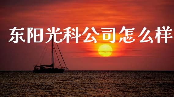 东阳光科公司怎么样_https://www.qmgjg.com_香港恒生指数_第1张