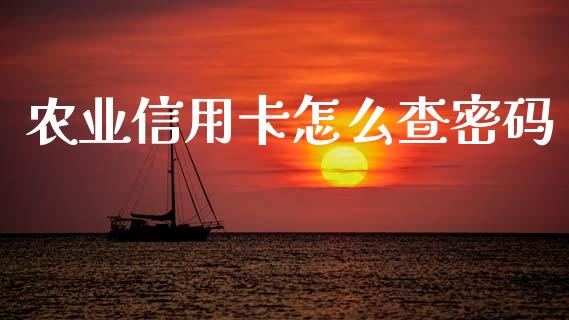 农业信用卡怎么查密码_https://www.qmgjg.com_恒生指数是什么_第1张