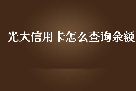 光大信用卡怎么查询余额_https://www.qmgjg.com_港股恒生指数_第1张