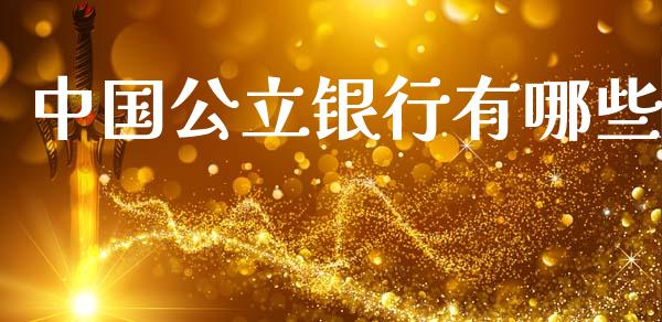 中国公立银行有哪些_https://www.qmgjg.com_恒生指数是什么_第1张