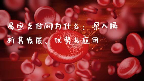 易宝支付网为什么：深入解析其发展、优势与应用_https://www.qmgjg.com_港股恒生指数_第1张
