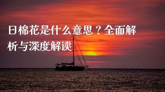 日棉花是什么意思？全面解析与深度解读_https://www.qmgjg.com_香港恒生指数_第1张
