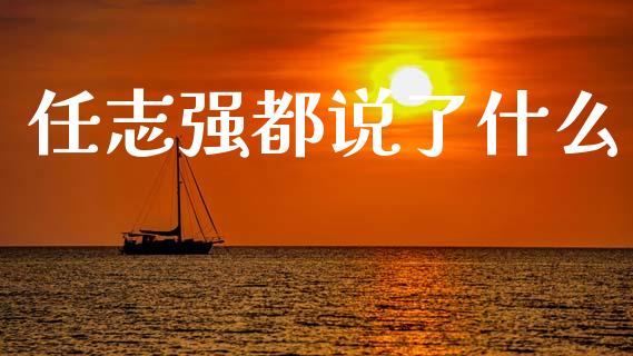 任志强都说了什么_https://www.qmgjg.com_香港恒生指数_第1张