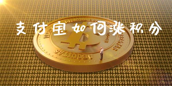 支付宝如何涨积分_https://www.qmgjg.com_港股恒生指数_第1张