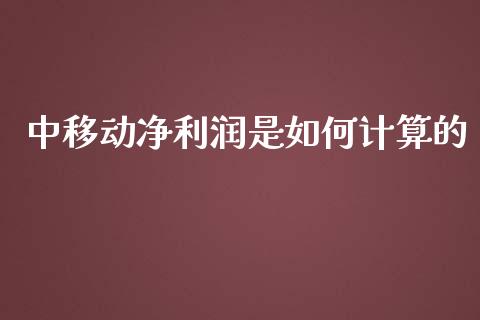 中移动净利润是如何计算的_https://www.qmgjg.com_香港恒生指数_第1张
