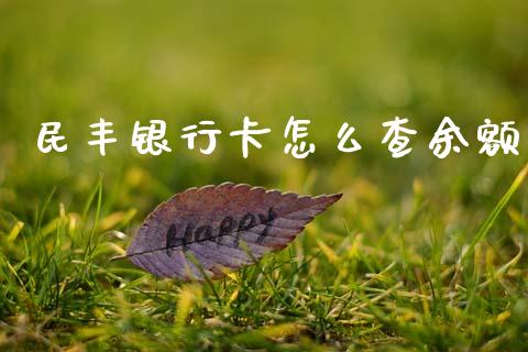 民丰银行卡怎么查余额_https://www.qmgjg.com_恒生指数期货_第1张