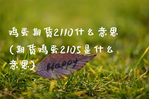 鸡蛋期货2110什么意思(期货鸡蛋2105是什么意思)_https://www.qmgjg.com_恒生指数期货_第1张