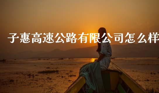 子惠高速公路有限公司怎么样_https://www.qmgjg.com_港股恒生指数_第1张