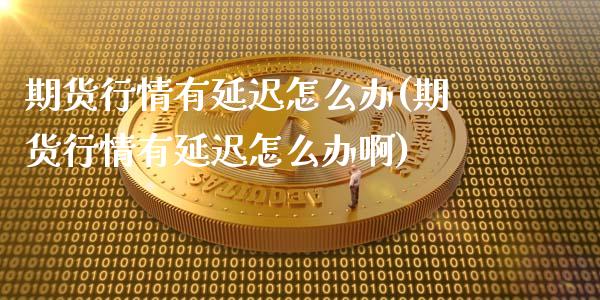 期货行情有延迟怎么办(期货行情有延迟怎么办啊)_https://www.qmgjg.com_香港恒生指数_第1张
