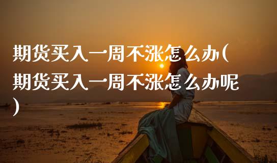 期货买入一周不涨怎么办(期货买入一周不涨怎么办呢)_https://www.qmgjg.com_恒生指数期货_第1张