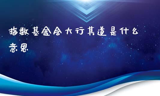 指数基金会大行其道是什么意思_https://www.qmgjg.com_香港恒生指数_第1张