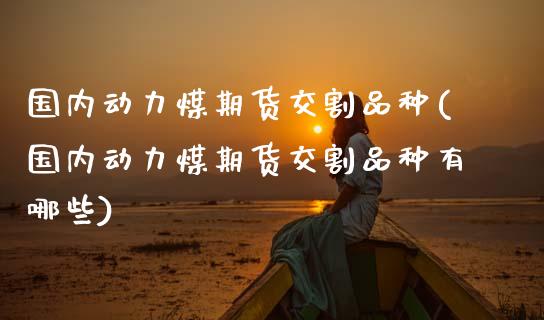 国内动力煤期货交割品种(国内动力煤期货交割品种有哪些)_https://www.qmgjg.com_恒生指数是什么_第1张