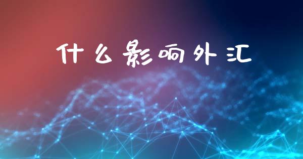 什么影响外汇_https://www.qmgjg.com_恒生指数期货_第1张