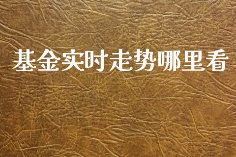 基金实时走势哪里看_https://www.qmgjg.com_恒生指数是什么_第1张