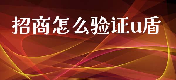 招商怎么验证u盾_https://www.qmgjg.com_恒生指数期货_第1张