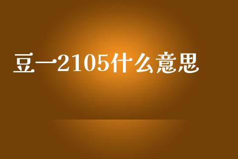 豆一2105什么意思_https://www.qmgjg.com_港股恒生指数_第1张