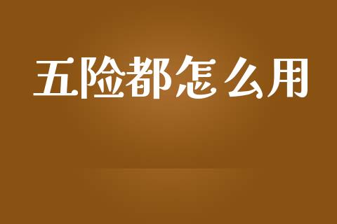五险都怎么用_https://www.qmgjg.com_恒生指数期货_第1张