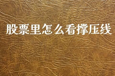 股票里怎么看撑压线_https://www.qmgjg.com_港股恒生指数_第1张