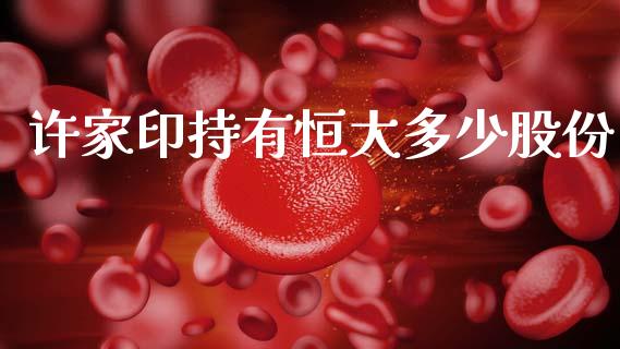 许家印持有恒大多少股份_https://www.qmgjg.com_港股恒生指数_第1张