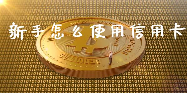 新手怎么使用信用卡_https://www.qmgjg.com_香港恒生指数_第1张