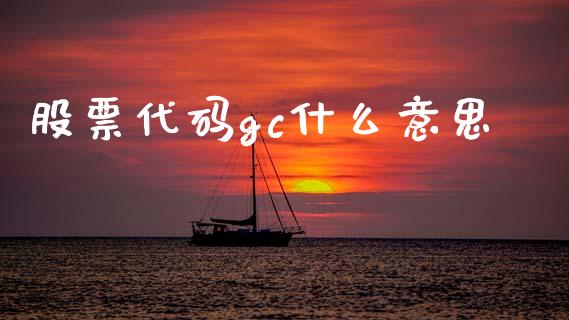 股票代码gc什么意思_https://www.qmgjg.com_恒生指数期货_第1张