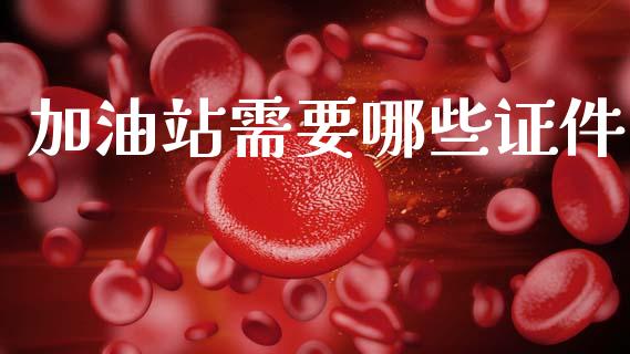 加油站需要哪些证件_https://www.qmgjg.com_香港恒生指数_第1张