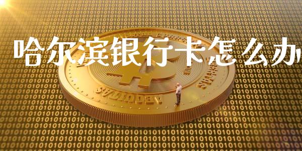哈尔滨银行卡怎么办_https://www.qmgjg.com_港股恒生指数_第1张