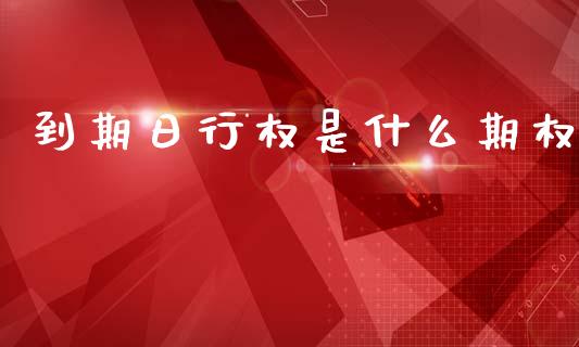 到期日行权是什么期权_https://www.qmgjg.com_香港恒生指数_第1张