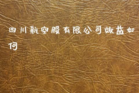 四川航空股有限公司效益如何_https://www.qmgjg.com_港股恒生指数_第1张