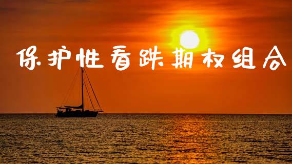 保护性看跌期权组合_https://www.qmgjg.com_恒生指数是什么_第1张