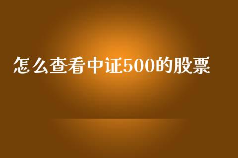 怎么查看中证500的股票_https://www.qmgjg.com_港股恒生指数_第1张