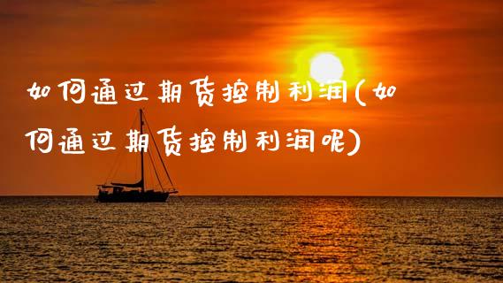 如何通过期货控制利润(如何通过期货控制利润呢)_https://www.qmgjg.com_恒生指数期货_第1张