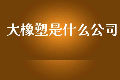 大橡塑是什么公司_https://www.qmgjg.com_恒生指数期货_第1张