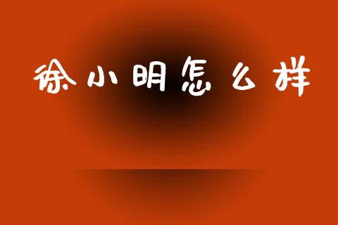 徐小明怎么样_https://www.qmgjg.com_恒生指数是什么_第1张