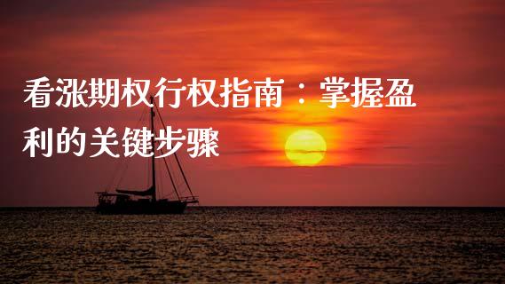 看涨期权行权指南：掌握盈利的关键步骤_https://www.qmgjg.com_香港恒生指数_第1张