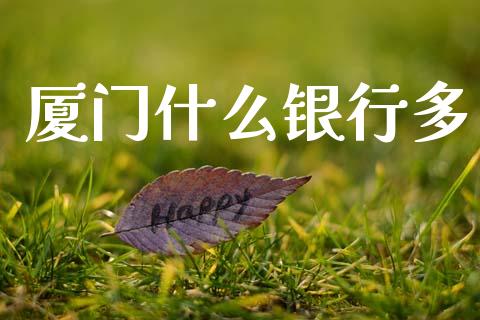 厦门什么银行多_https://www.qmgjg.com_港股恒生指数_第1张