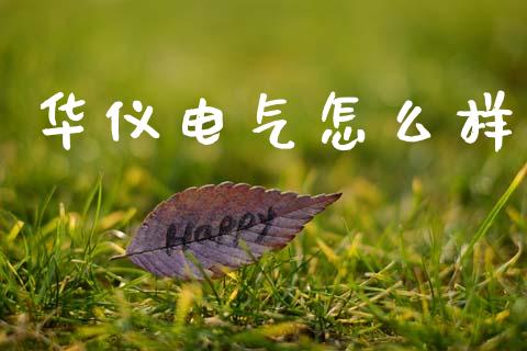 华仪电气怎么样_https://www.qmgjg.com_港股恒生指数_第1张