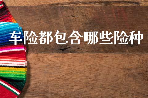 车险都包含哪些险种_https://www.qmgjg.com_港股恒生指数_第1张
