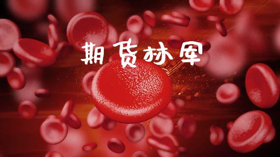 期货林军_https://www.qmgjg.com_恒生指数是什么_第1张