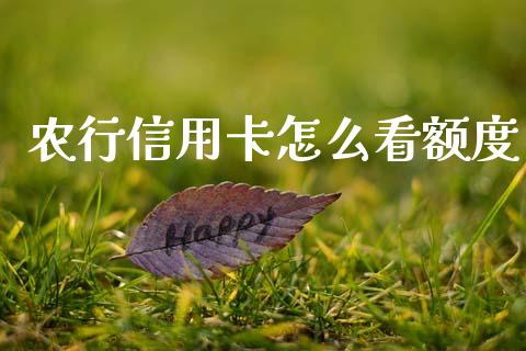 农行信用卡怎么看额度_https://www.qmgjg.com_香港恒生指数_第1张