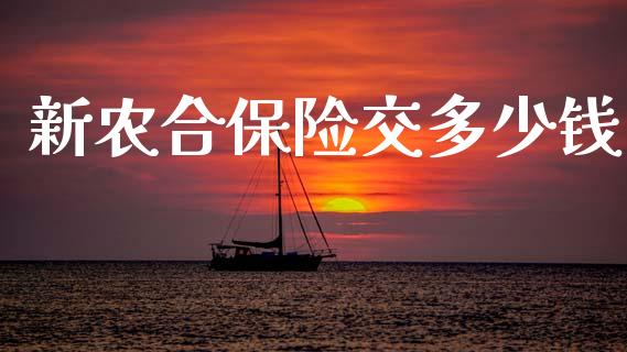新农合保险交多少钱_https://www.qmgjg.com_香港恒生指数_第1张