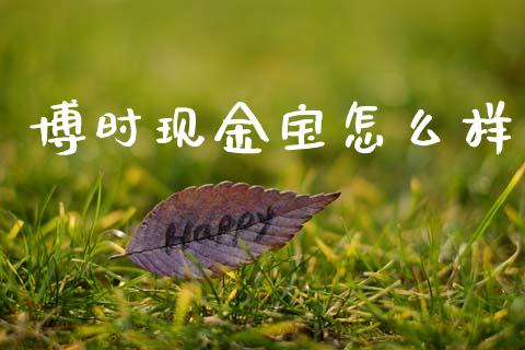 博时现金宝怎么样_https://www.qmgjg.com_香港恒生指数_第1张