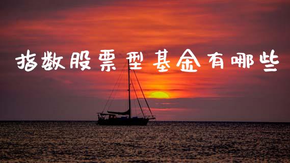 指数股票型基金有哪些_https://www.qmgjg.com_香港恒生指数_第1张