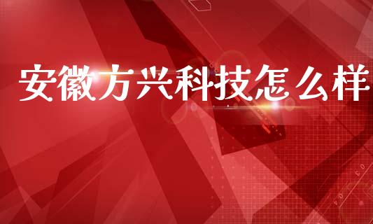 安徽方兴科技怎么样_https://www.qmgjg.com_恒生指数期货_第1张