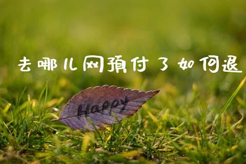 去哪儿网预付了如何退_https://www.qmgjg.com_恒生指数期货_第1张