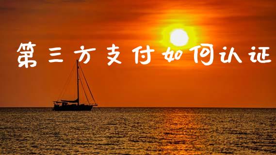 第三方支付如何认证_https://www.qmgjg.com_恒生指数期货_第1张