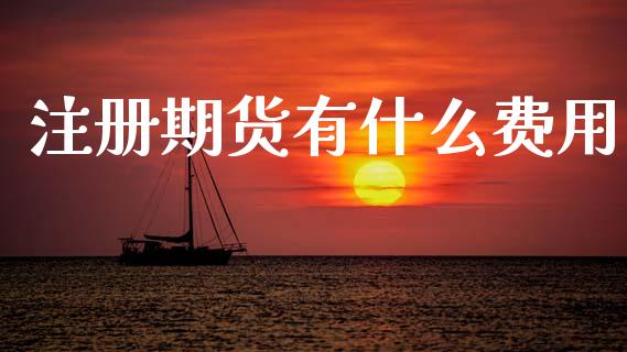 注册期货有什么费用_https://www.qmgjg.com_香港恒生指数_第1张