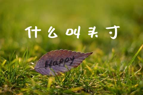 什么叫头寸_https://www.qmgjg.com_恒生指数期货_第1张